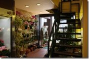 「今井百花園」　（広島県廿日市市）の花屋店舗写真2
